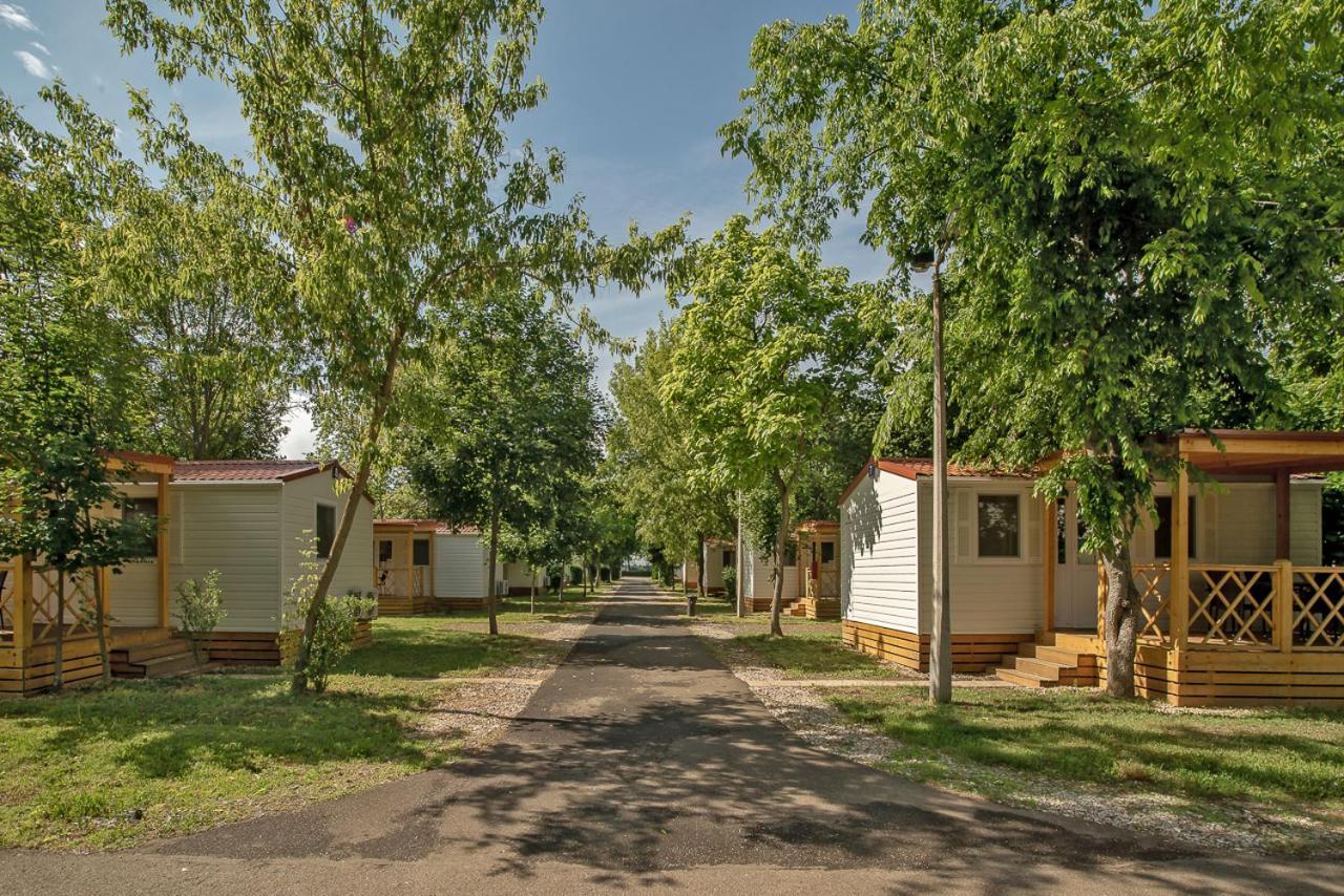 Hungarospa Thermal Camping Mobilhaz Hajduszoboszlo Ngoại thất bức ảnh